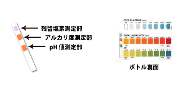 上から残留塩素測定部、アルカリ測定部、pH測定部です。ボトルの背面に記載されている表と照らし合わせてください。